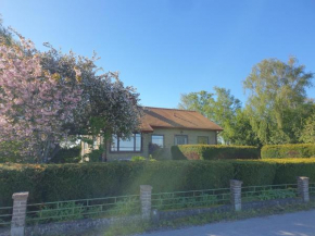 Spacious and cozy semi-basement, Lund